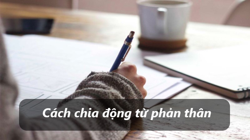 động từ phản thân với tiếng pháp