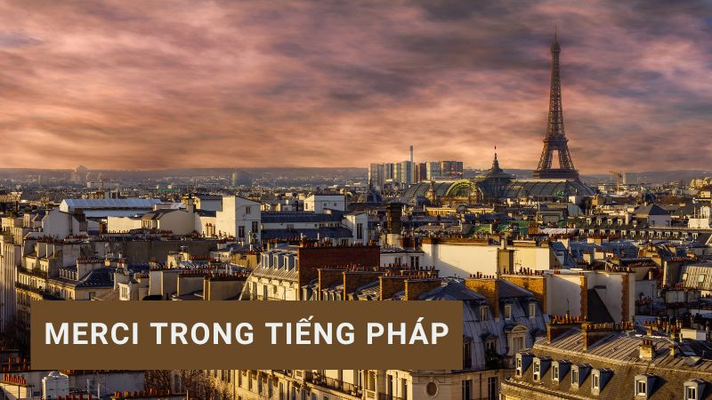 Merci trong tiếng Pháp là gì? Cách nói cảm ơn lịch thiệp