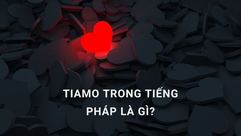 Tiamo tiếng Pháp là gì? Giải thích nghĩa & cách dùng